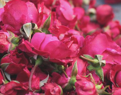 gulabi